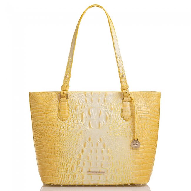 Brahmin Medium Misha Sunbeam Melbourne ID:Brahmin-202780