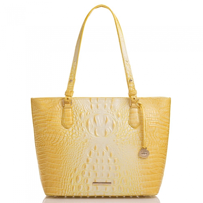 Brahmin Medium Misha Sunbeam Melbourne ID:Brahmin-202780