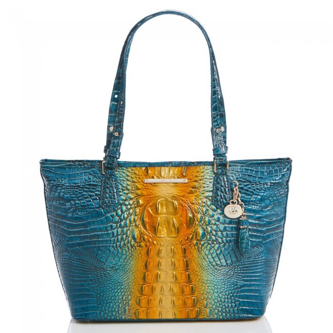 Brahmin Medium Asher Bermuda Ombre Melbourne ID:Brahmin-202712