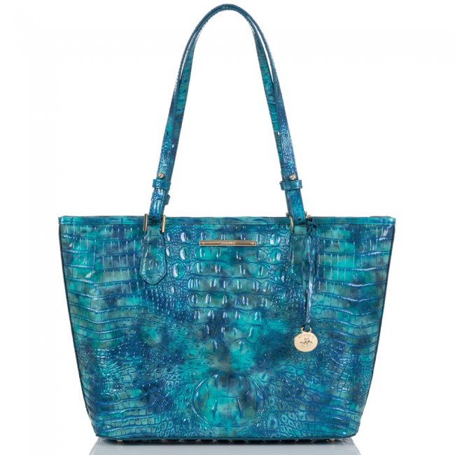 Brahmin Medium Asher Tonic Melbourne ID:Brahmin-202786