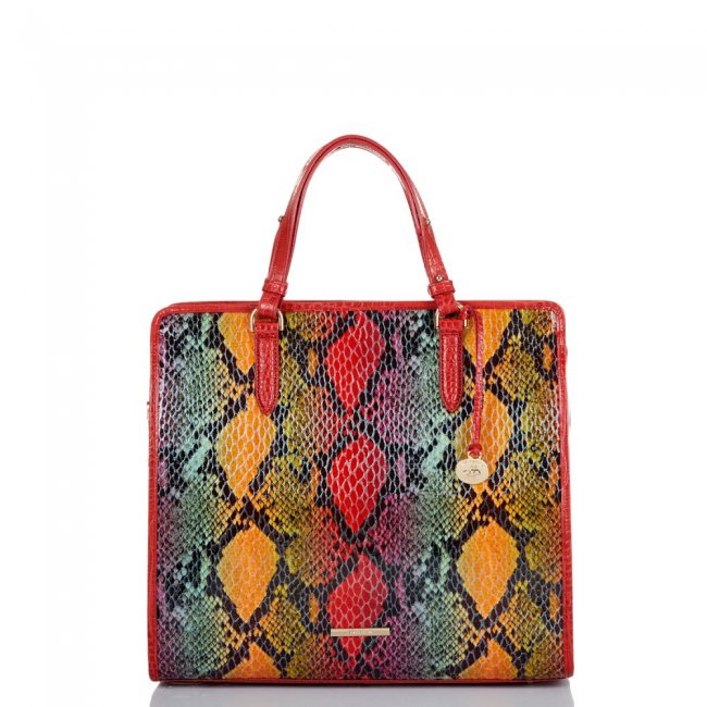 Brahmin Tia Red Dragon Experium ID:Brahmin-202517