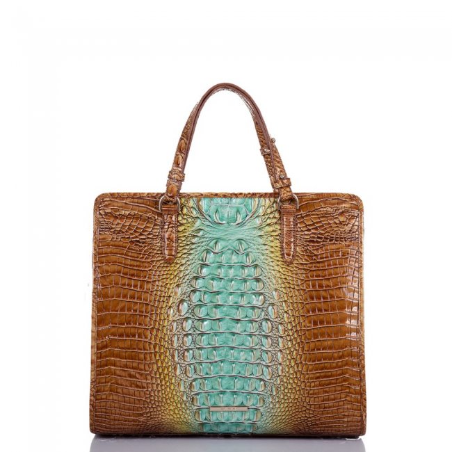 Brahmin Tia Cactus Ombre Melbourne ID:Brahmin-202722