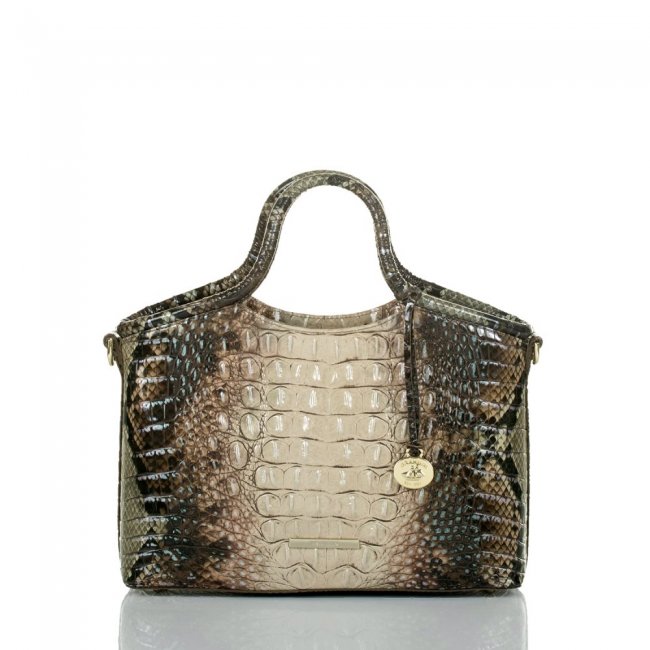Brahmin Small Elaine Diamondback Ombre Melbourne ID:Brahmin-203190