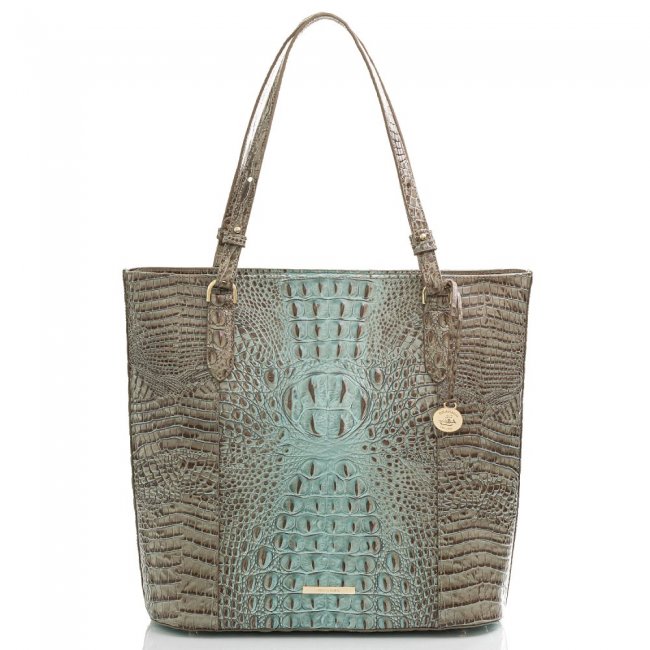 Brahmin Abigail Bluebell Ombre Melbourne ID:Brahmin-202720