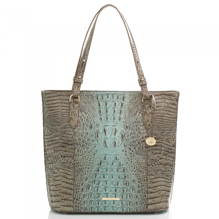 Brahmin Abigail Bluebell Ombre Melbourne ID:Brahmin-202720