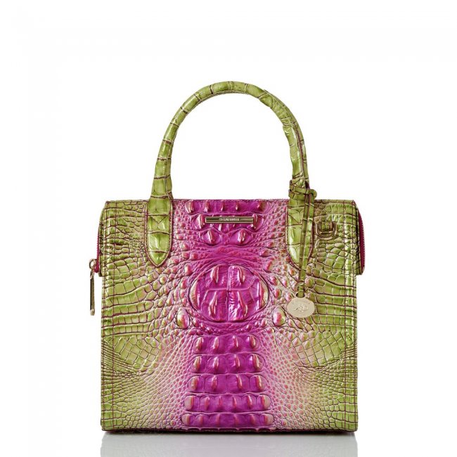 Brahmin Small Caroline Limeade Ombre Melbourne ID:Brahmin-203175