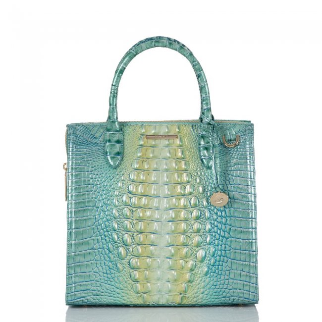 Brahmin Caroline Seafoam Ombre Melbourne ID:Brahmin-203129