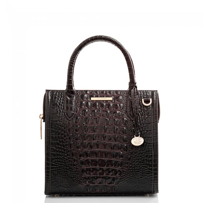 Brahmin Small Caroline Cocoa Ombre Melbourne ID:Brahmin-203171