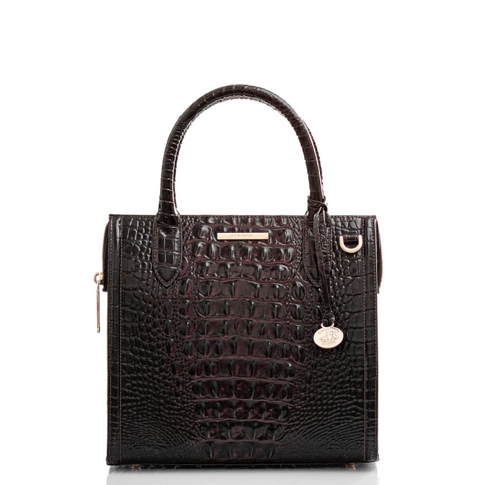 Brahmin Small Caroline Cocoa Ombre Melbourne ID:Brahmin-203171