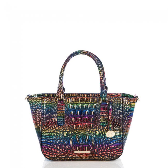 Brahmin Small Ashlee Technicolor Melbourne ID:Brahmin-203026