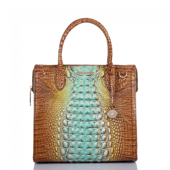 Brahmin Caroline Cactus Ombre Melbourne ID:Brahmin-203130
