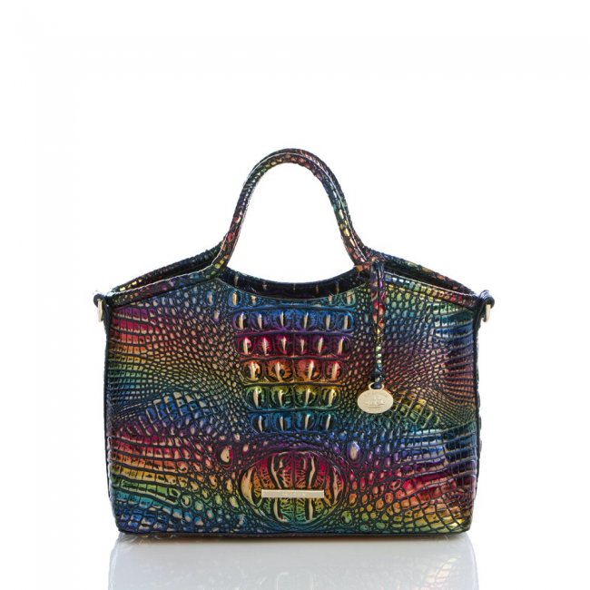 Brahmin Small Elaine Technicolor Melbourne ID:Brahmin-203025