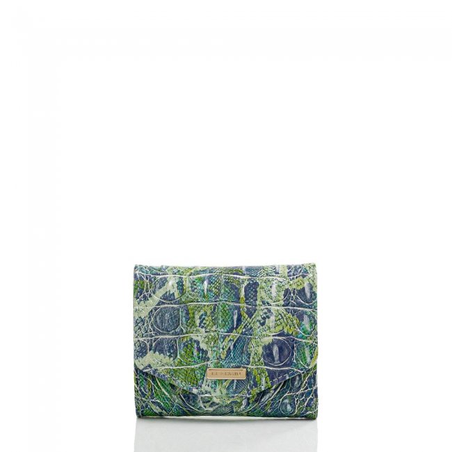 Brahmin Small Veronica Green Viper Melbourne ID:Brahmin-203704