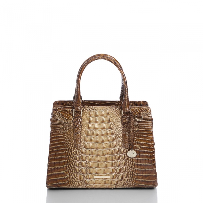 Brahmin Small Finley Teak Ombre Melbourne ID:Brahmin-203219