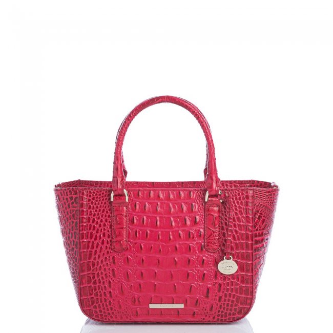 Brahmin Small Ashlee Sweetheart Ombre Melbourne ID:Brahmin-203235