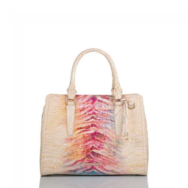 Brahmin Small Finley Entice Ombre Melbourne ID:Brahmin-203220