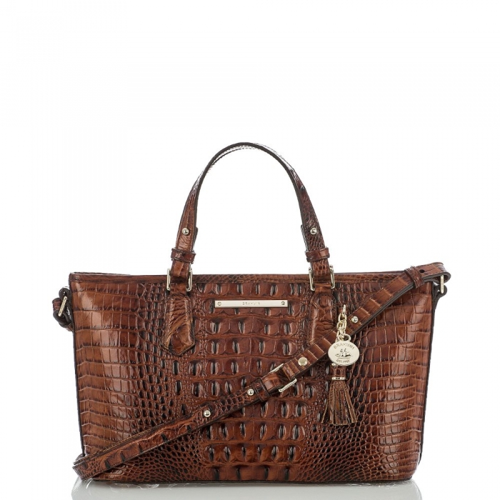 Brahmin Mini Asher Pecan Melbourne ID:Brahmin-202999