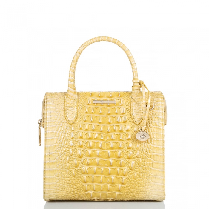 Brahmin Small Caroline Butter Melbourne ID:Brahmin-203170