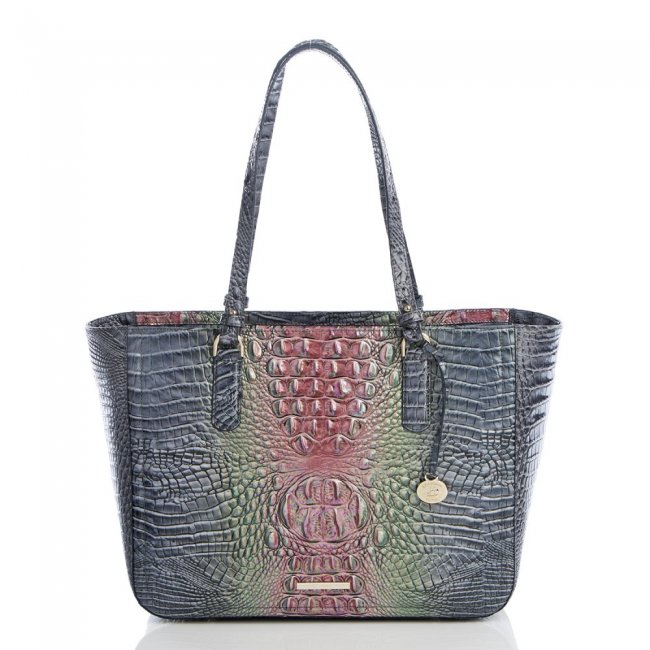 Brahmin Ashlee Radiance Ombre Melbourne ID:Brahmin-202769
