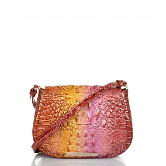 Brahmin Small Nadine Glam Ombre Melbourne ID:Brahmin-203323