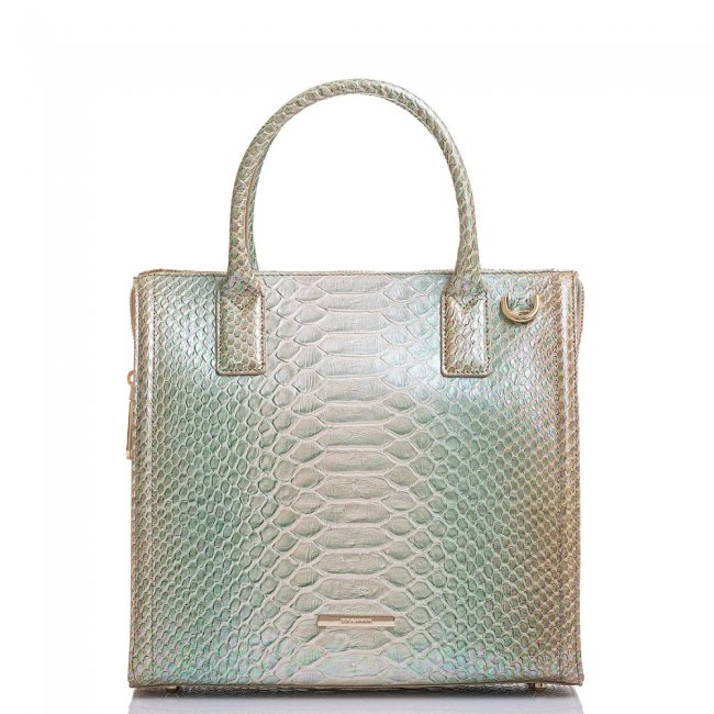 Brahmin Caroline Green Velocity ID:Brahmin-202974