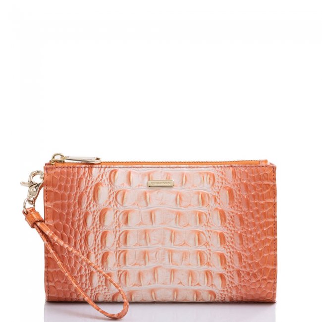 Brahmin Daisy Sherbert Ombre Melbourne ID:Brahmin-203277