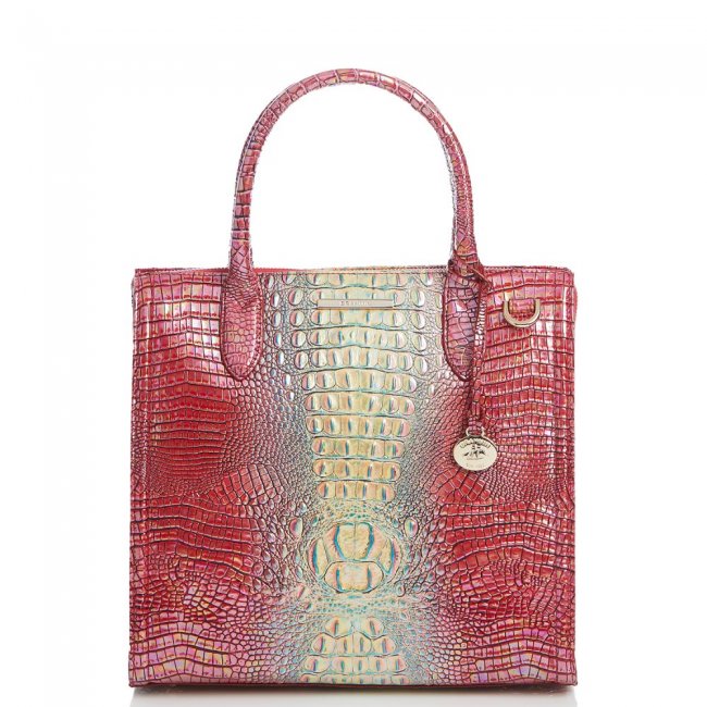Brahmin Caroline Dragonfruit Ombre Mini Melbourne ID:Brahmin-203137