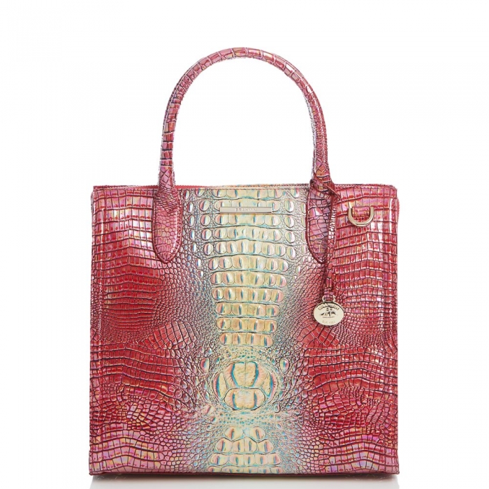 Brahmin Caroline Dragonfruit Ombre Mini Melbourne ID:Brahmin-203137
