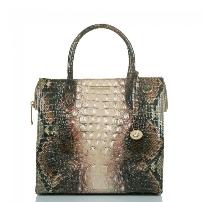 Brahmin Caroline Diamondback Ombre Melbourne ID:Brahmin-203124