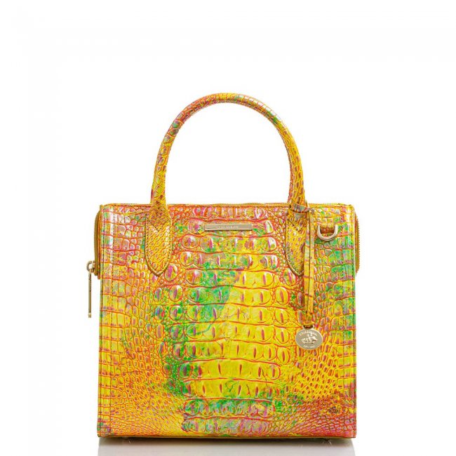 Brahmin Small Caroline Spritz Melbourne ID:Brahmin-203018