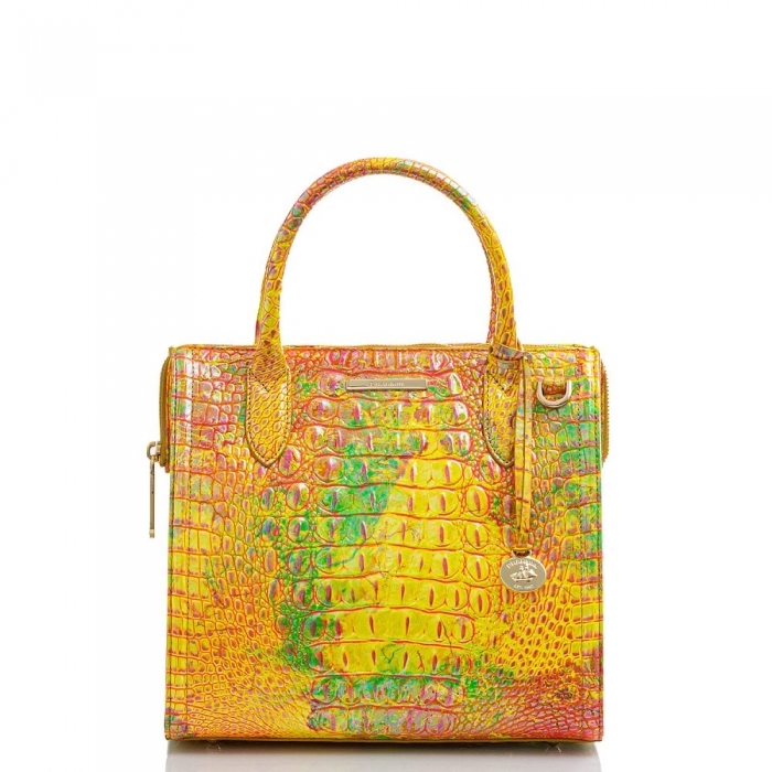 Brahmin Small Caroline Spritz Melbourne ID:Brahmin-203018