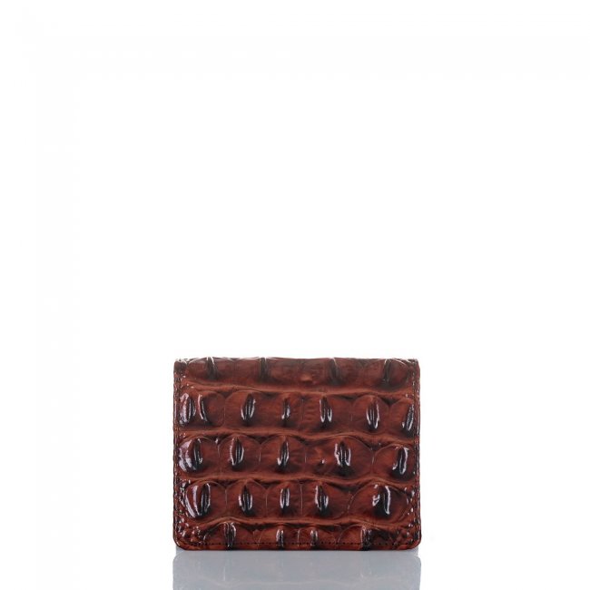 Brahmin Leo Wallet Pecan Melbourne ID:Brahmin-202651