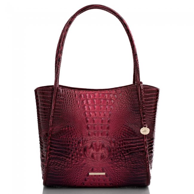 Brahmin Bailee Rose Ombre Melbourne ID:Brahmin-202816