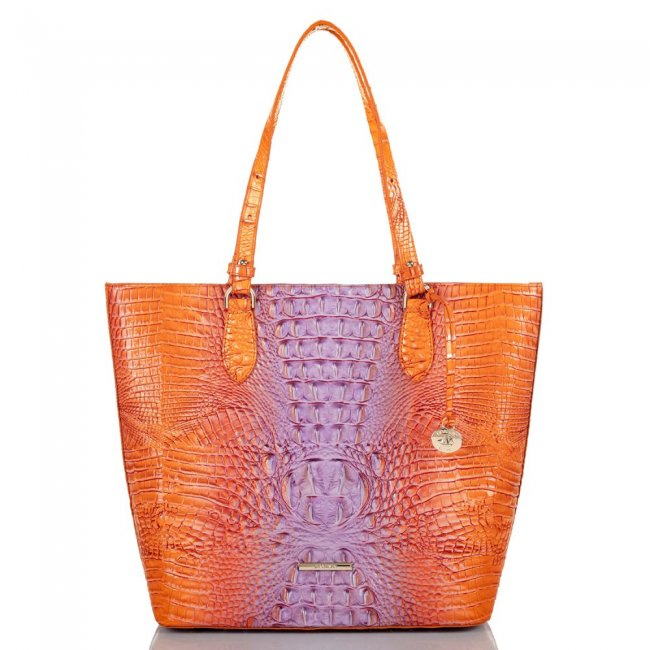Brahmin Ellen Daiquiri Ombre Melbourne ID:Brahmin-202845