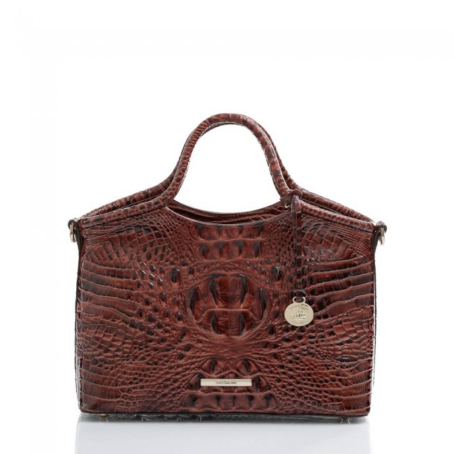 Brahmin Small Elaine Pecan Melbourne ID:Brahmin-203417