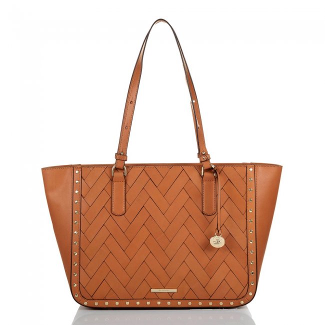 Brahmin Ashlee Tan Nelani ID:Brahmin-202520