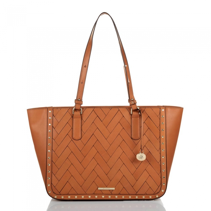 Brahmin Ashlee Tan Nelani ID:Brahmin-202520