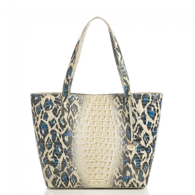 Brahmin Brooke Jaguar Ombre Melbourne ID:Brahmin-202745