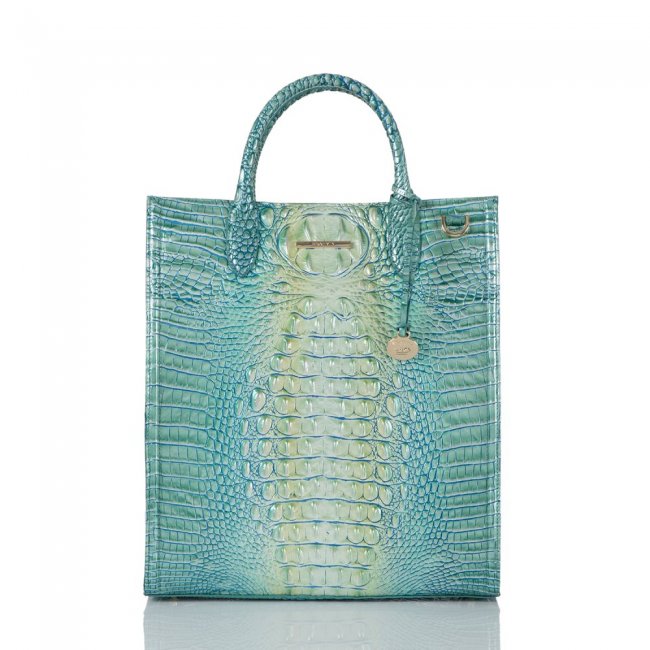 Brahmin Monique Seafoam Ombre Melbourne ID:Brahmin-202820
