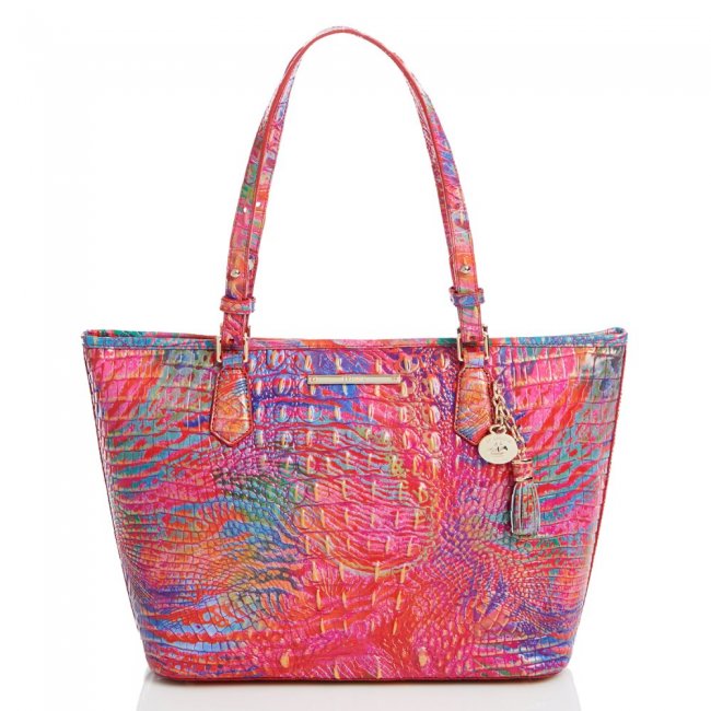 Brahmin Medium Asher Rainbow Fish Melbourne ID:Brahmin-202770