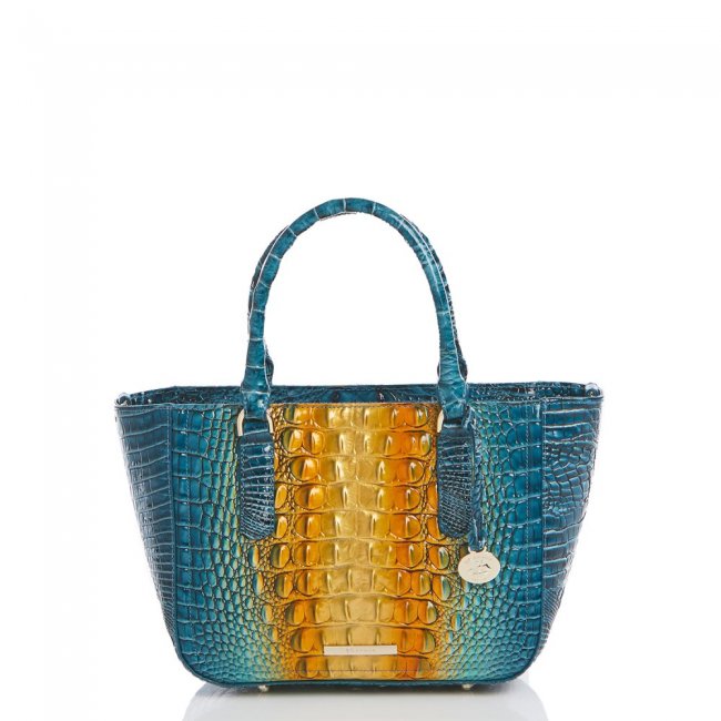 Brahmin Small Ashlee Bermuda Ombre Melbourne ID:Brahmin-203237