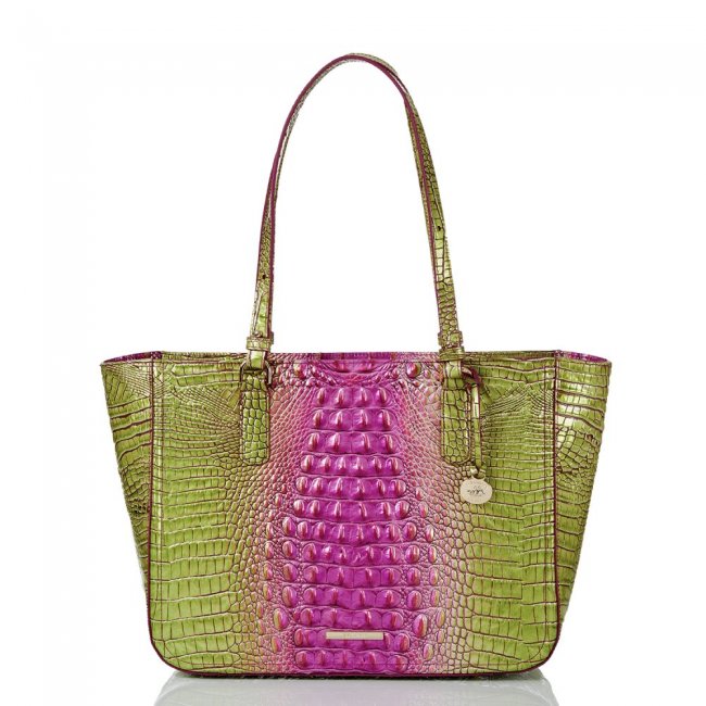 Brahmin Ashlee Limeade Ombre Melbourne ID:Brahmin-202837