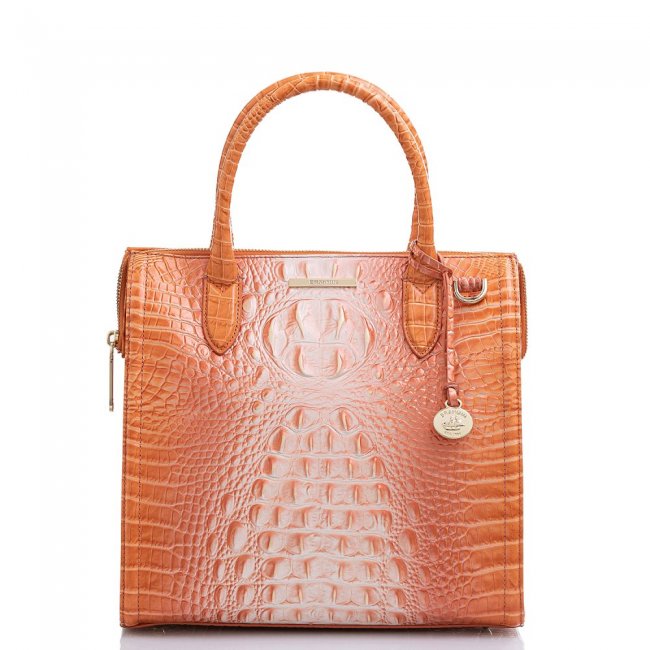 Brahmin Caroline Sherbert Ombre Melbourne ID:Brahmin-203017