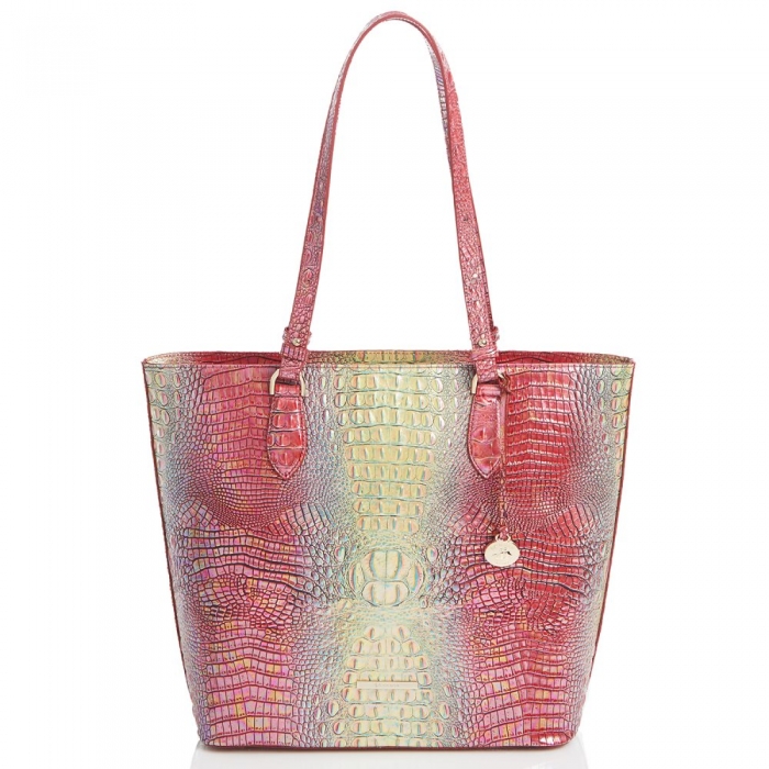 Brahmin Ellen Dragonfruit Ombre Mini Melbourne ID:Brahmin-202851