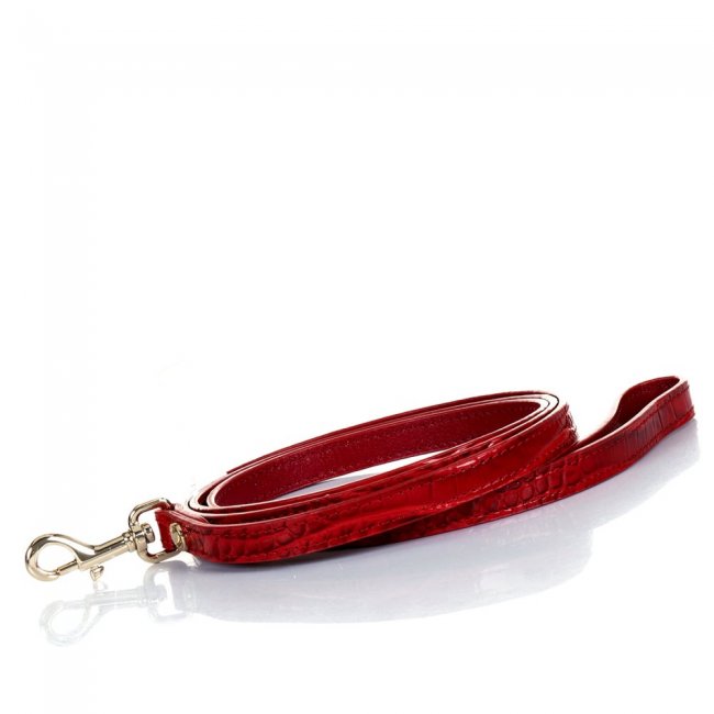 Brahmin Small Pet Leash Carnation Melbourne ID:Brahmin-203590