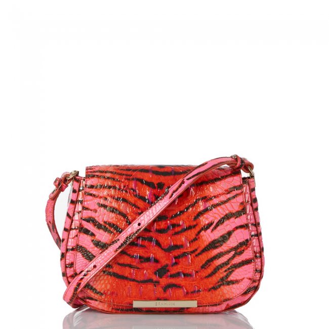 Brahmin Small Nadine Pink Feline Ombre Melbourne ID:Brahmin-203355