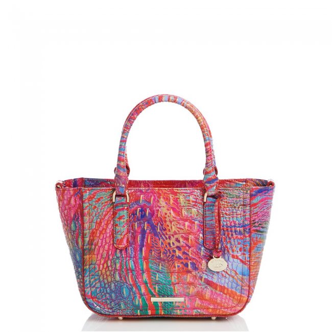 Brahmin Small Ashlee Rainbow Fish Melbourne ID:Brahmin-203241