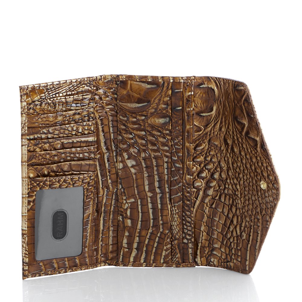 Brahmin Veronica Teak Ombre Melbourne ID:Brahmin-203813