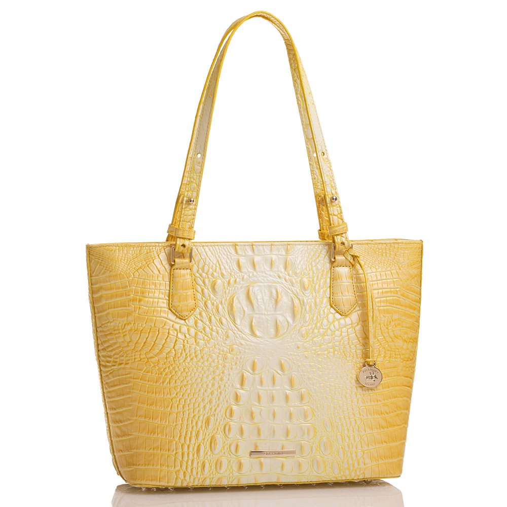 Brahmin Medium Misha Sunbeam Melbourne ID:Brahmin-202780