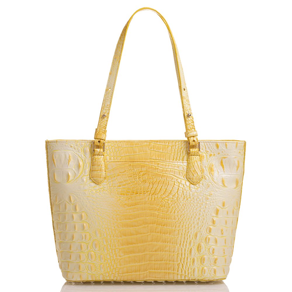 Brahmin Medium Misha Sunbeam Melbourne ID:Brahmin-202780